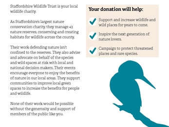 An image depicting a list of reasons to fundraise for wildlife