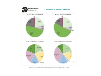 A series of pie charts with different coloured sections showing financial analysis