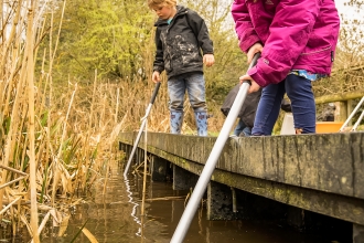 Pond dipping event at Wolseley
