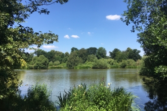 Views over the lake at The Wolseley Centre
