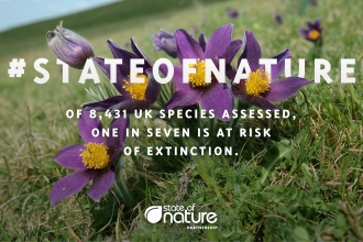 State of nature report 