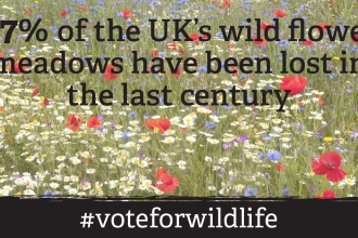 Vote for wildlife 