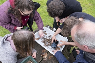 A group of people gather around a tray to spot insects