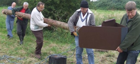 Wild About Tamworth project - installing owl box