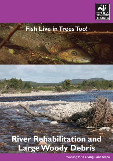 Fish live in trees too