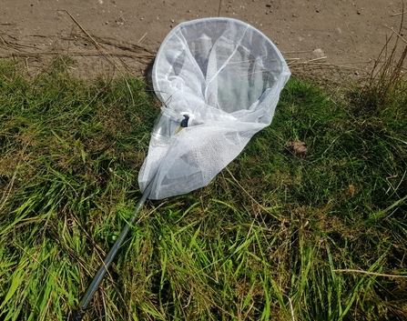 A white fine net on a pole lying on the grass