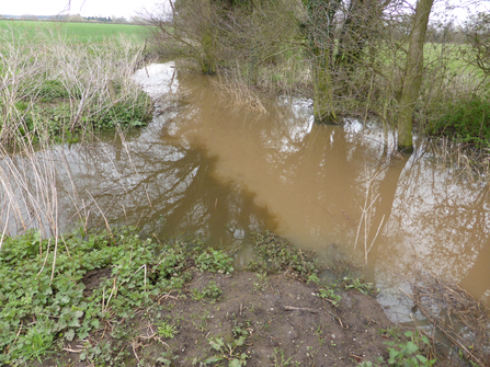 Murky brown/grey water merges with lighter brown water in a river, bordered by trees and farmland