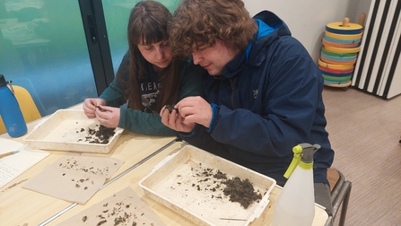 Two young people examine findings in a Wild Youth session