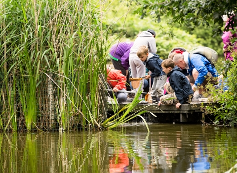 Pond dipping at Wolseley
