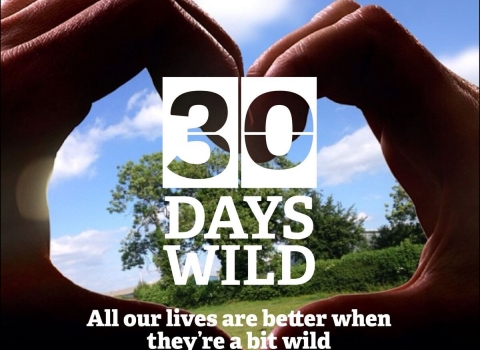 30 Days Wild 