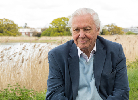 A man with white hair sits in front of a wetland/reeds and smiles at the camera. He wears a navy blue suit and a pale blue jumper with a white shirt underneath