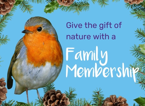 A blue background covered with the image of a robin and natural pine garland. The text overlaid on top reads "Give the gift of nature with a Family Membership"