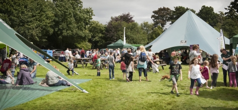 WildChild Festival fun