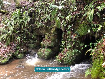 An old stone bridge with a stream running under it. It's covered in moss and vegetation.