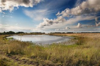 Bateswood Nature Reserve