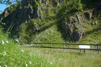 Brown End Quarry - Nature Reserve