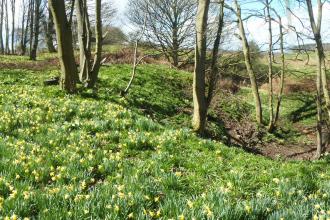 George's Hayes Nature Reserve