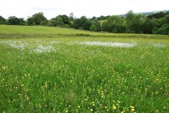 Rod Wood Nature Reserve