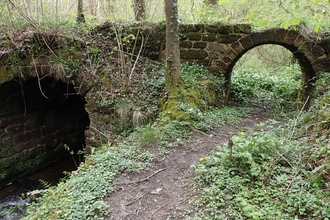 Harston Wood - Shirley Brook