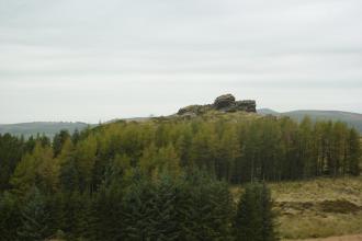 Black Brook - Nature Reserve 