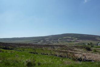 Black Brook reserve 