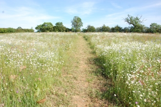 Our flagship nature reserves