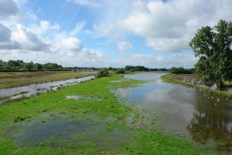 Radford Meadows - nature reserve