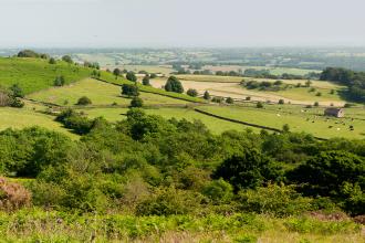 Thorswood