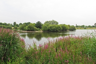 Croxall Lake - view of West Lake 