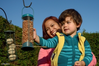 Filling bird feeder 