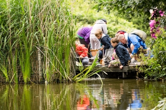 Pond dipping at Wolseley