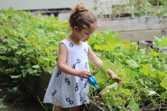Child gardening 