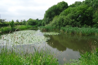 Staffordshire Trent Valley Catchment Based Approach Partnership
