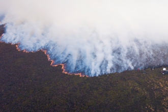 Roaches Fire Appeal newest 