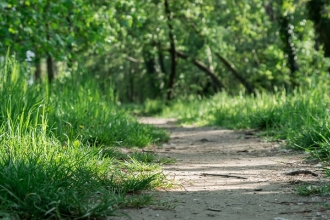 Grass path