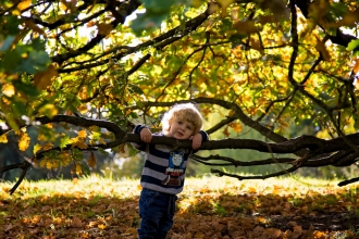 Wildlings - Boy by tree