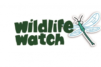 Wildlife Watch
