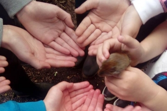 Mammal in Hands