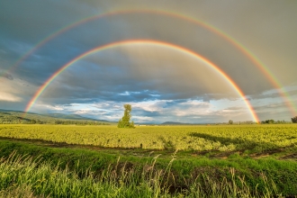 Rainbow