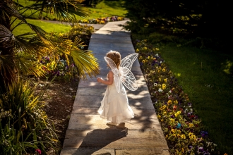 Fairies