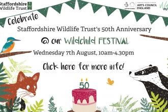 Festival web banner