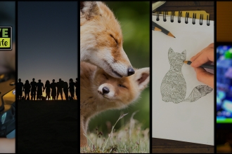 A banner for LIVE For Wildlife