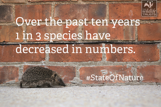 State of Nature report facts