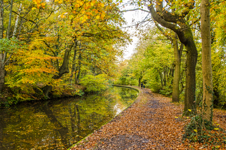 Autumnal colours along the Trent and Mersey Canal near Hopwas, November 2020 © Steven Cheshire, Transforming the Trent Valley 2020