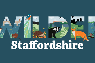 Wilderstaffordshire