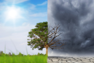 Split screen of a tree half in blossom and half showing destruction of climate change 