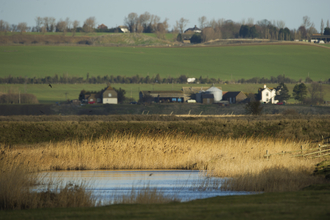 A farm over looks a wetland surrounded by tall reeds