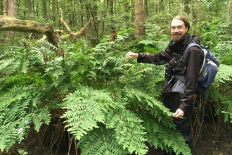 Man stood next to a very large/tall fern in a forest
