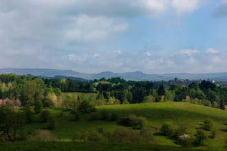 View of green rolling hills with various trees and blue sky with clouds