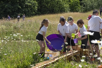 A group of children lift a big plastic tub filled with water and empty it into a wooden shoot which leads to a pond. They are surrounded by tall grasses and wildflowers.